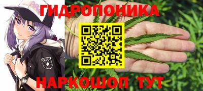 ГАЛЛЮЦИНОГЕННЫЕ ГРИБЫ Кимры
