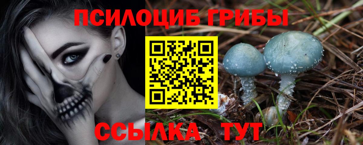 Галлюциногенные грибы Magic Shrooms Куйбышев