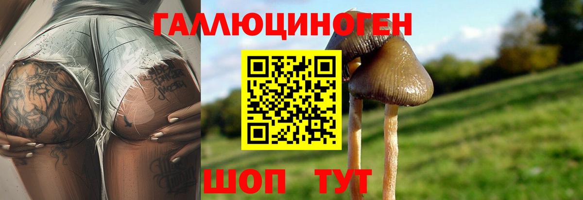 продажа наркотиков  Вход с VPN  Куйбышев  Псилоцибиновые грибы Magic Shrooms 