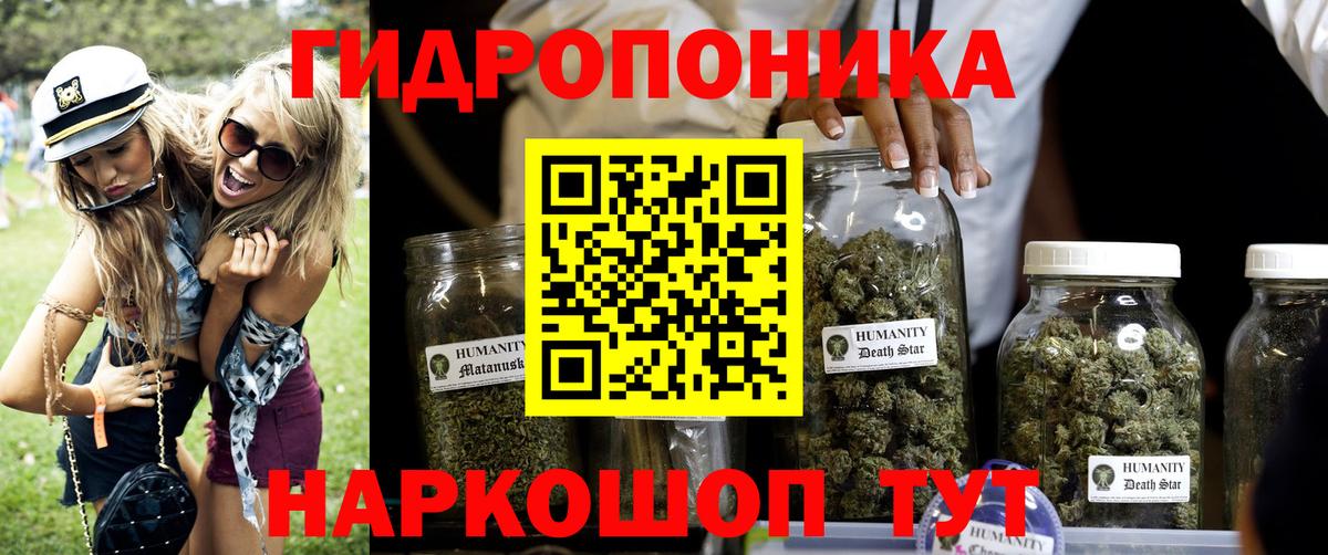 Куйбышев  Канабис сатива  Вход с VPN  Бошки марихуана тримм 